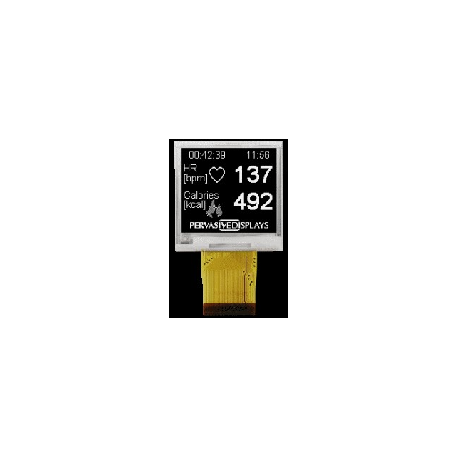 Pervasive Displays E2190CS021